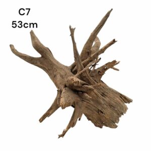 Corbo Catfish Root