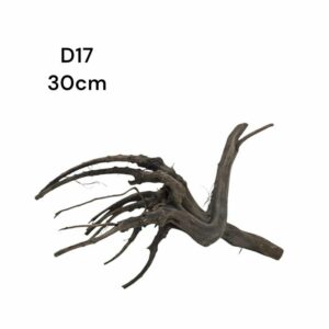 Dark Moor Root D17