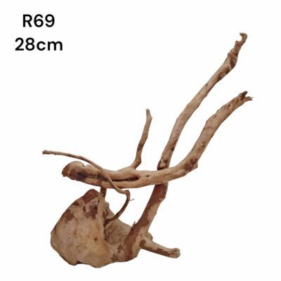 Redmoor Root