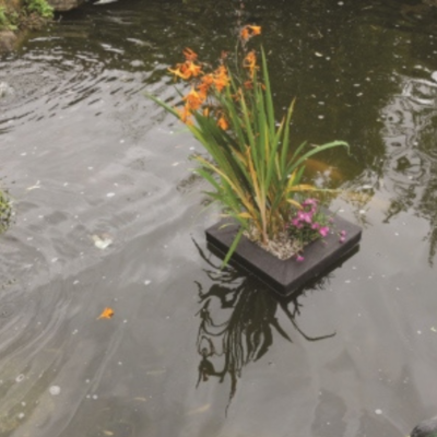 Pondxpert Floating Pond Planter 25x25cm 2