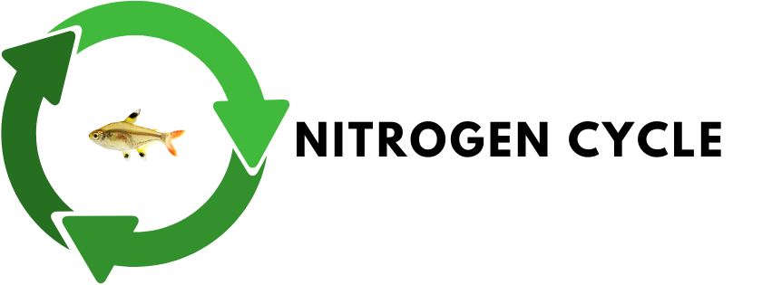 Nitrogen Cycle