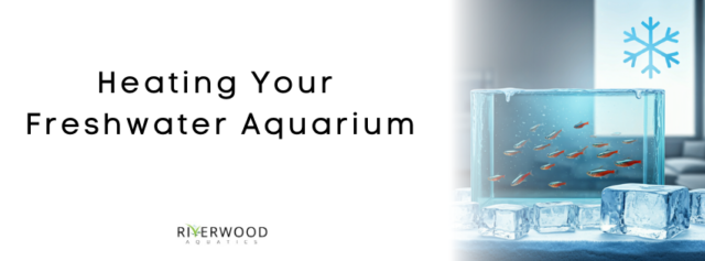 Heating Your Freshwater Aquarium