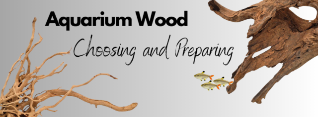 Aquarium Wood Banner