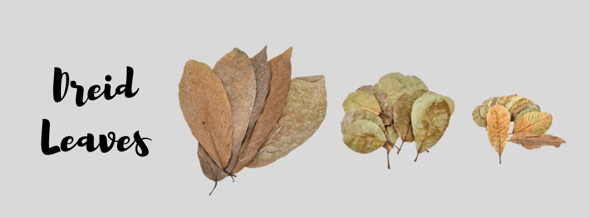 Dried Aquarium Leaves