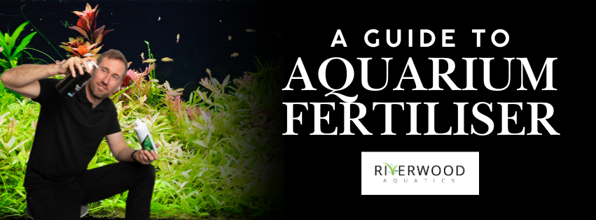 A Guide To Aquarium Fertilisers