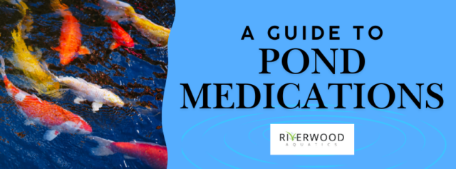 A Guide To Pond Medications