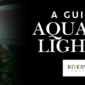 A Guide To Aquarium Lighting