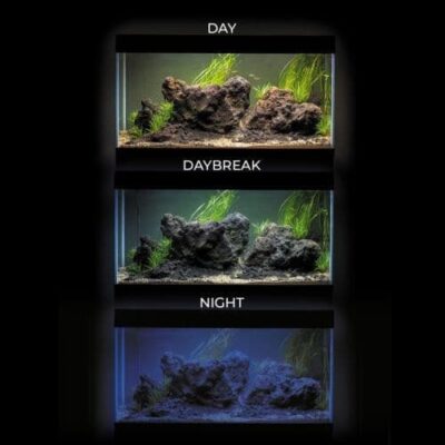 Aquael Utlrascape 60 Aquarium Set - Forest