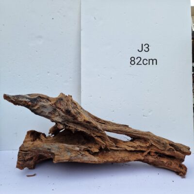 Bogwood J3