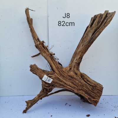 Bogwood J8