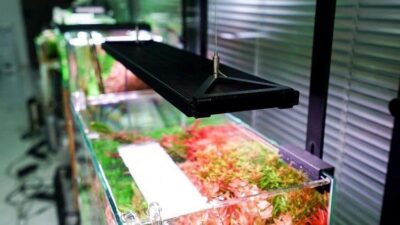 Chihiros WRGB2 Pro 45 led Aquarium Light 2