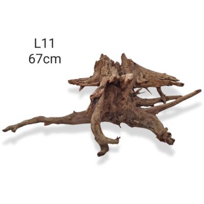 Corbo Catfish Root L11