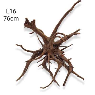 Corbo Catfish Root L16