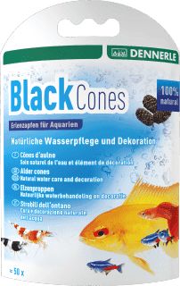 Dennerle Black Cones