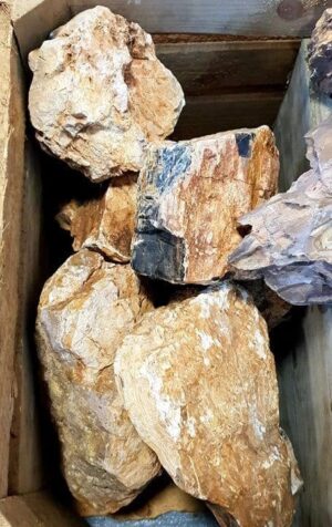 Fossilized Wood Rock per KG