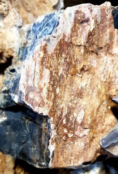 Fossilized Wood Rock per KG