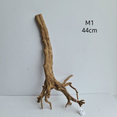 Isengard Wood M1