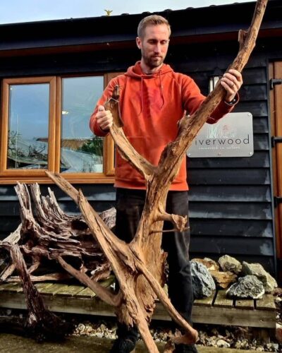 Jumbo Driftwood B2