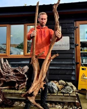 Jumbo Driftwood B3