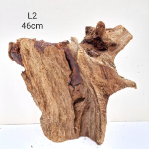 Mangrove Wood L2