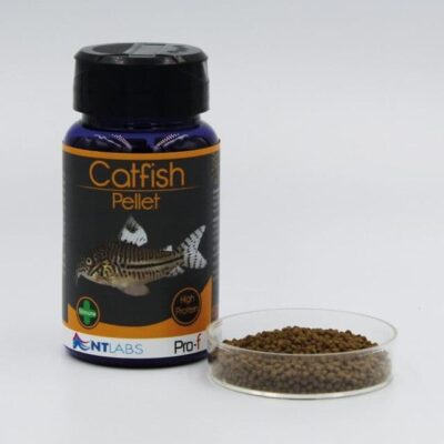 NT Labs Pro-f Catfish Pellet 60g