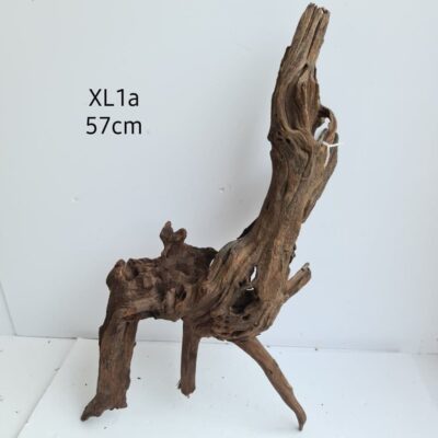 River Wood XL1a